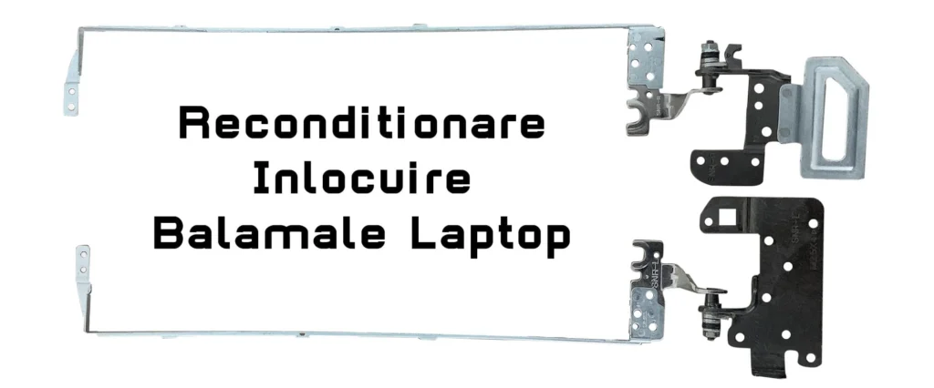 Reconditionare Inlocuire Balamale Laptop