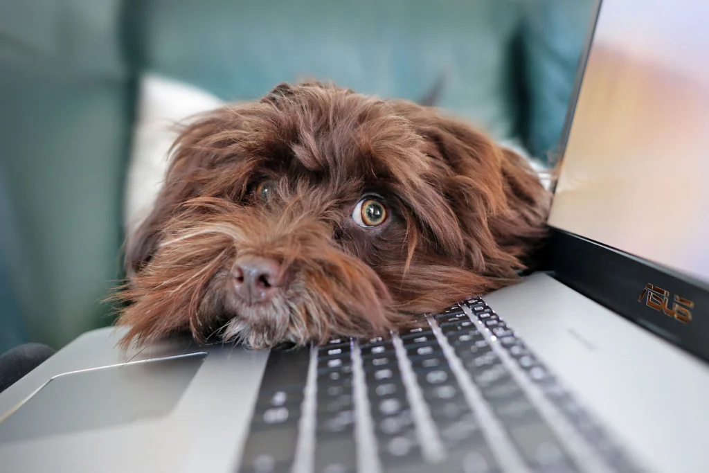 Curatare Tastatura Laptop