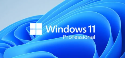 Instalare Windows 11 Pro