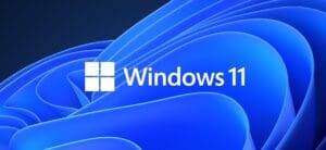 Instalare Windows 11 Pro
